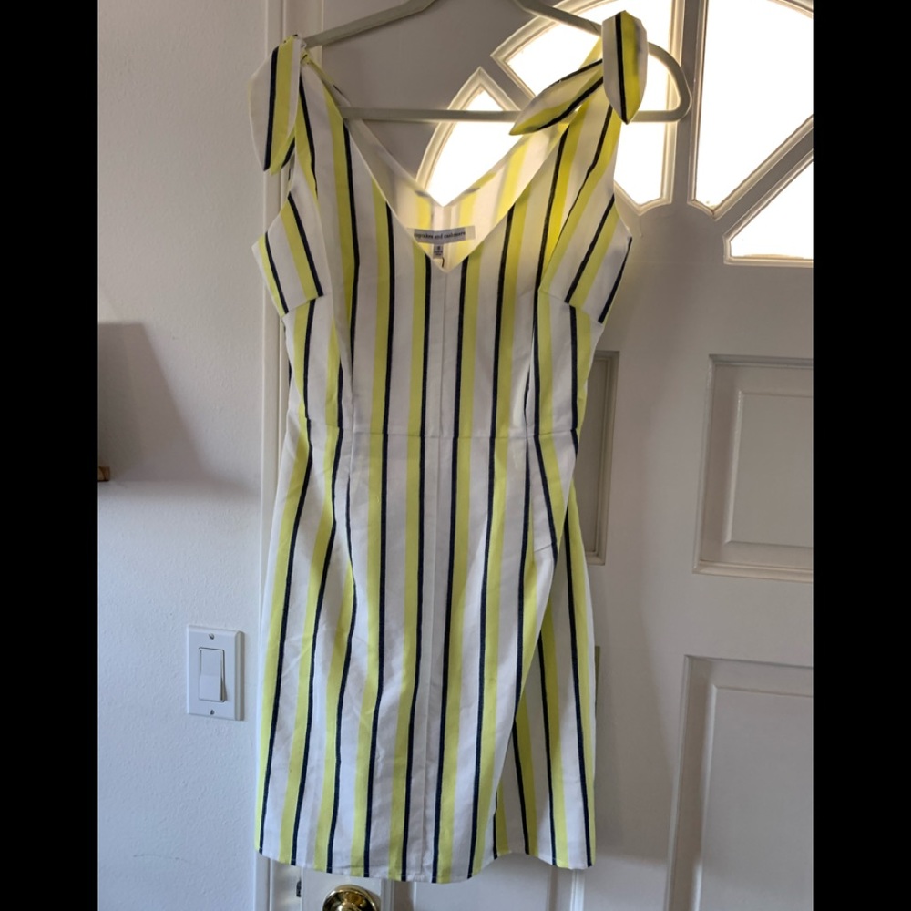 Bb Dakota vertical stripe dress